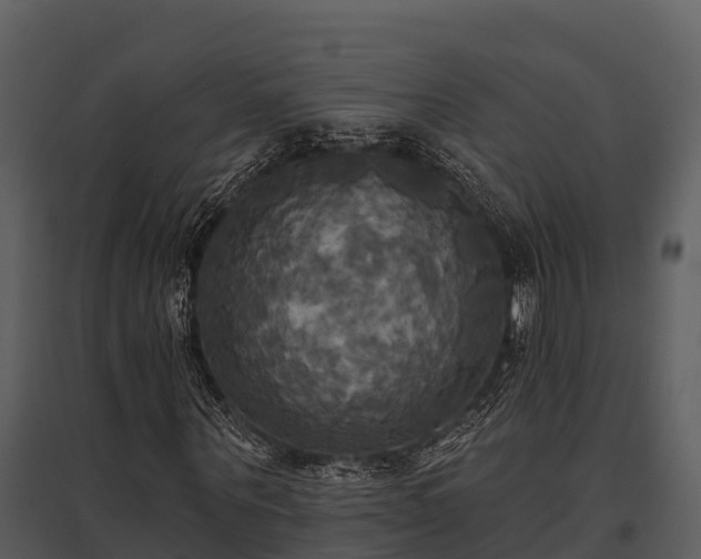 X0000095680867200801151123