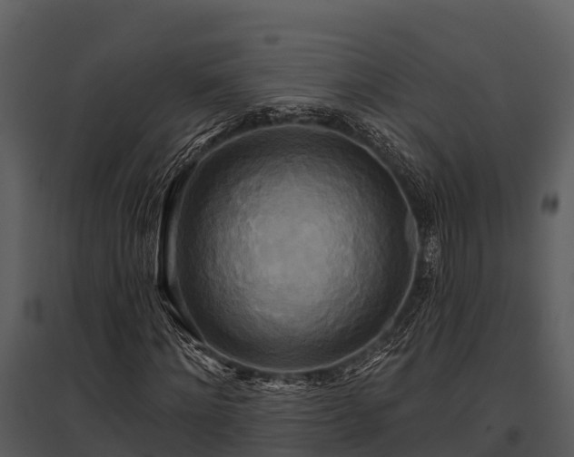 X0000095680868200801151123