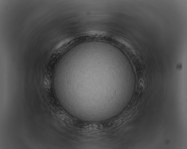 X0000095680869200801151123