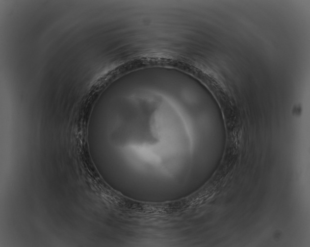 X0000095680870200801151123