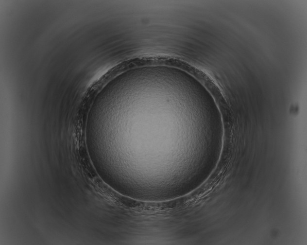X0000095680871200801151123