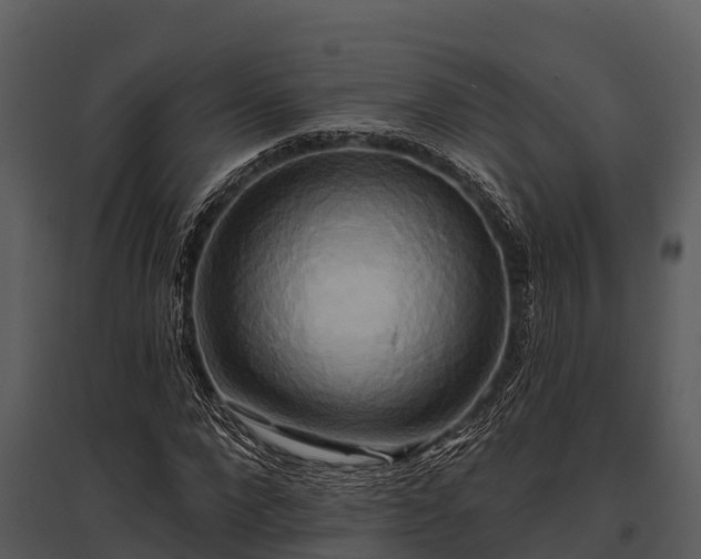 X0000095680872200801151123