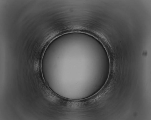 X0000095680873200801151123