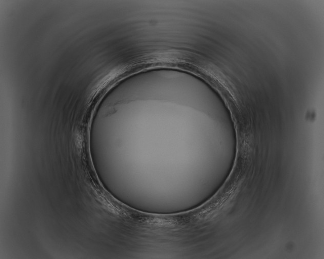 X0000095680874200801151123