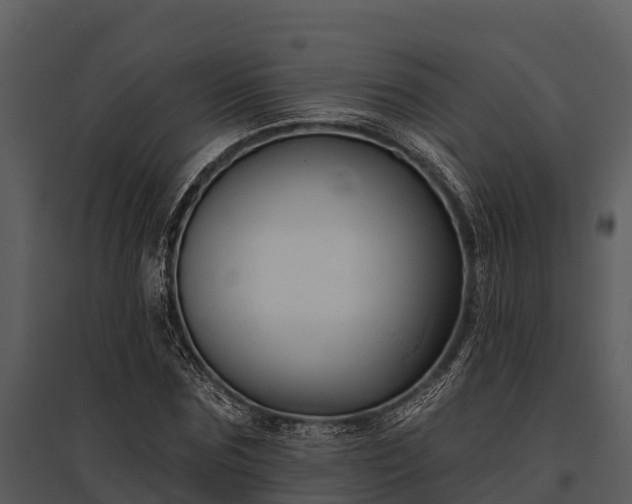 X0000095680875200801151123