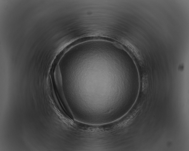 X0000095680876200801151123