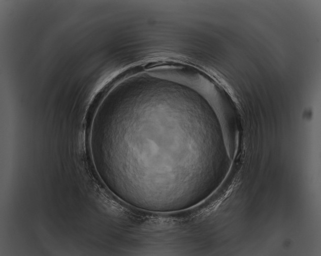 X0000095680877200801151123