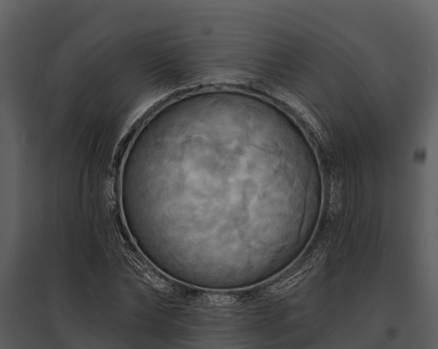 X0000095680878200801151123