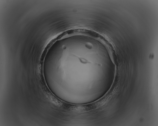 X0000095680879200801151123