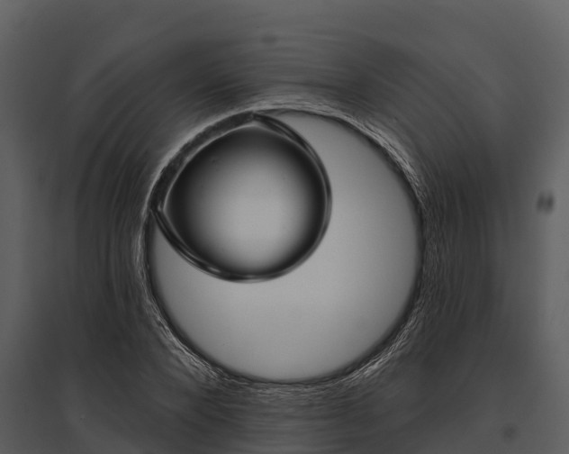 X0000095680880200801151123