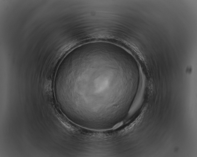X0000095680881200801151123
