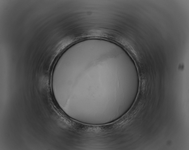 X0000095680882200801151123