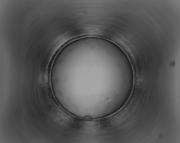 X0000095680883200801151123