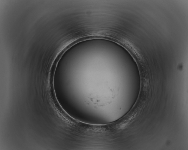 X0000095680884200801151123