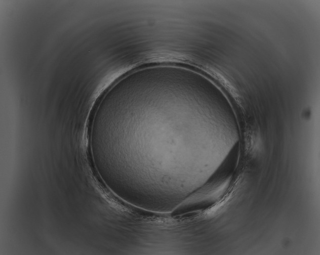 X0000095680885200801151123
