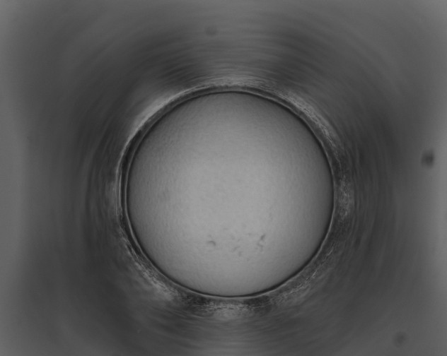 X0000095680886200801151123