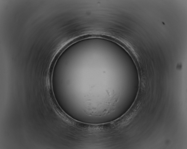 X0000095680887200801151123