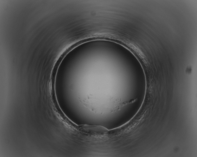 X0000095680888200801151123