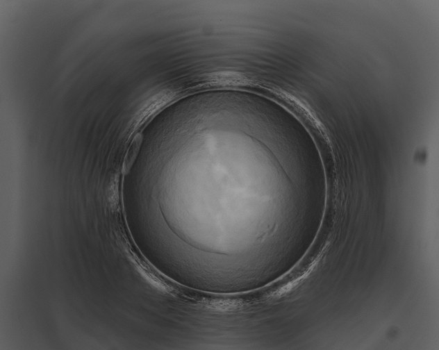 X0000095680889200801151123