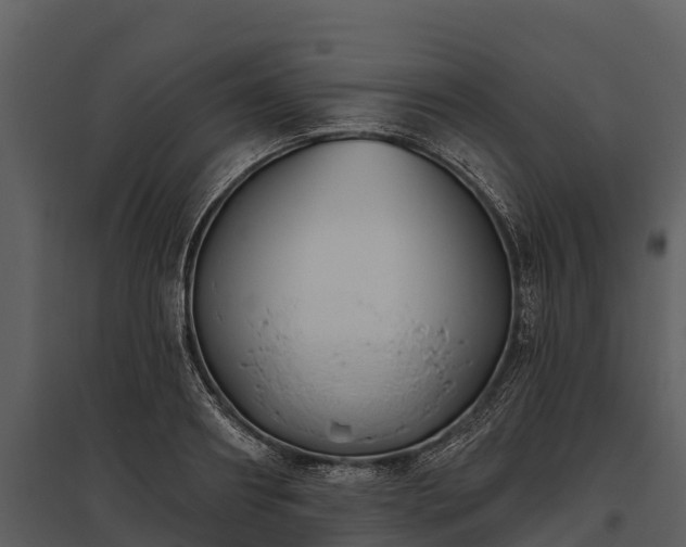 X0000095680890200801151123