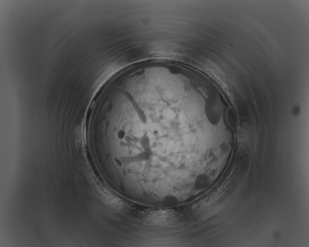 X0000095680891200801151123