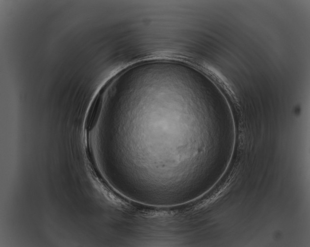 X0000095680892200801151123