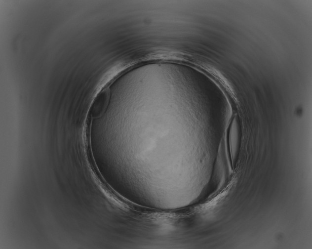 X0000095680893200801151123
