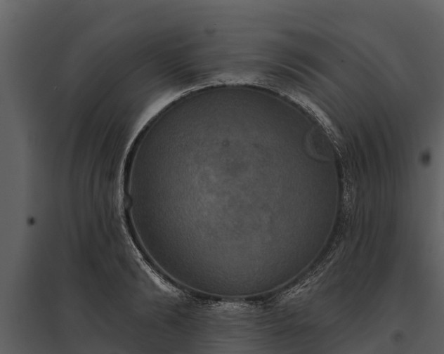 X0000095680894200801151123