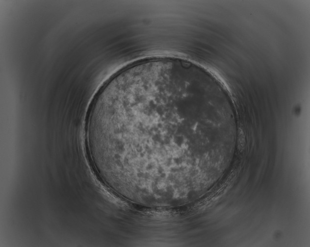 X0000095680895200801151123