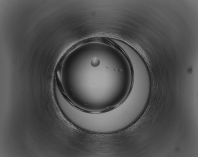 X0000095680896200801151123