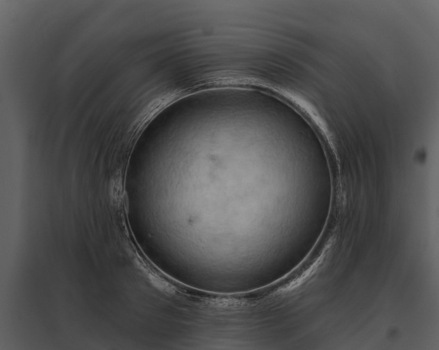 X0000095680897200801151123