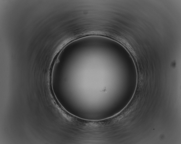 X0000095680898200801151123