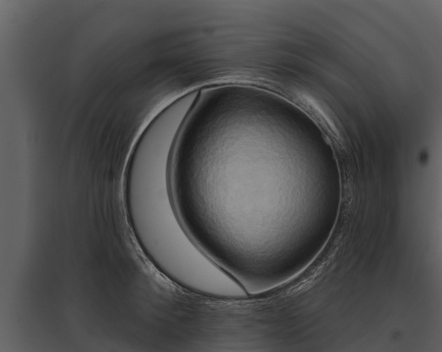 X0000095680900200801151123