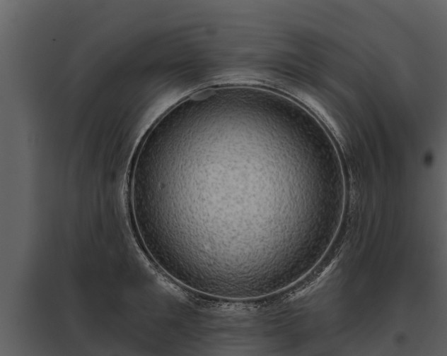 X0000095680901200801151123