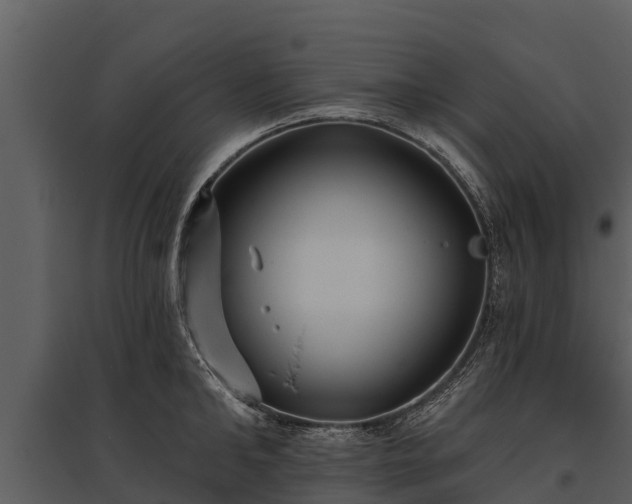 X0000095680902200801151123