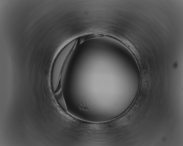 X0000095680904200801151123