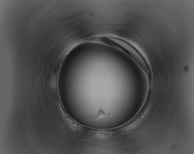 X0000095680905200801151123