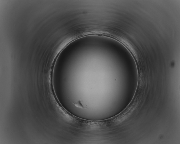 X0000095680906200801151123