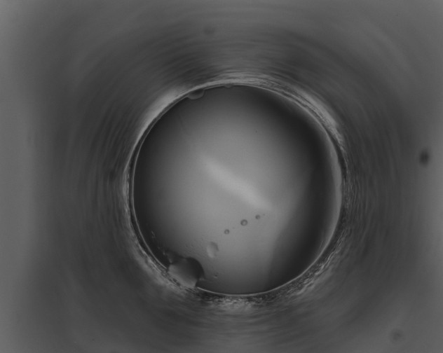 X0000095680907200801151123