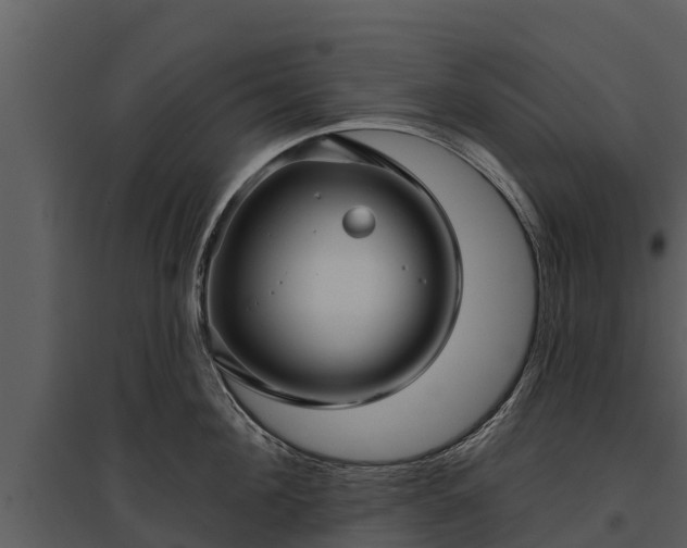 X0000095680908200801151123
