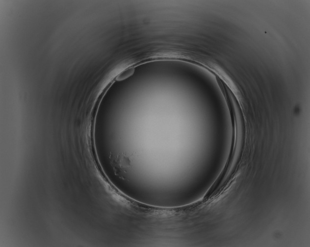 X0000095680909200801151123