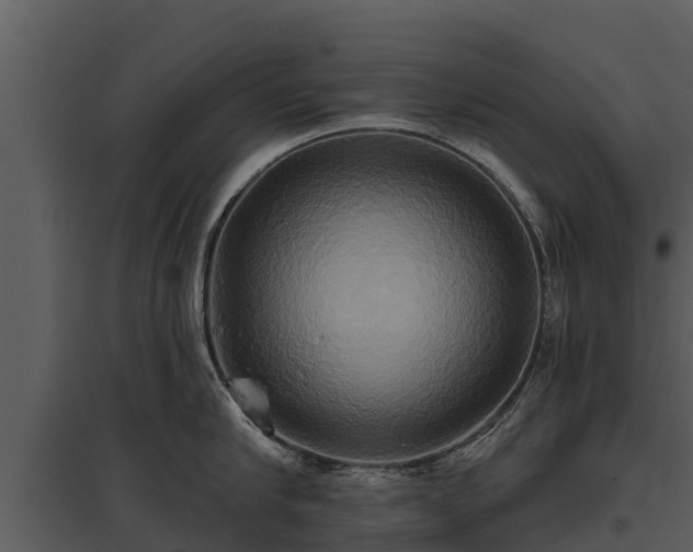 X0000095680910200801151123