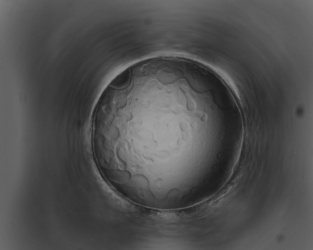X0000095680911200801151123