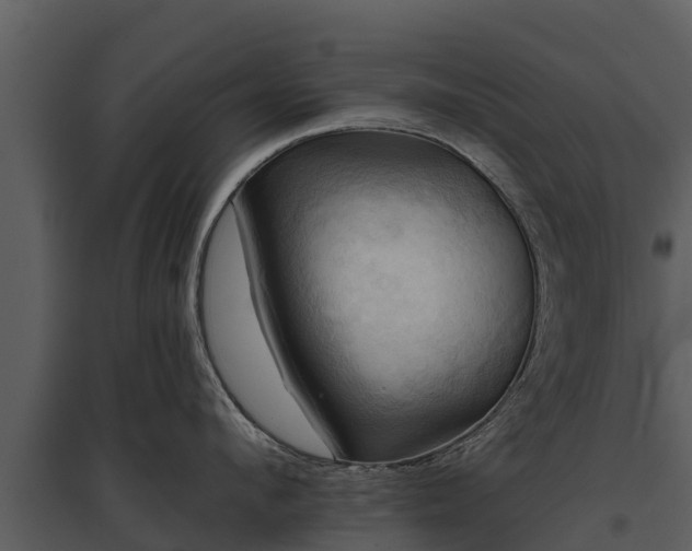 X0000095680912200801151123