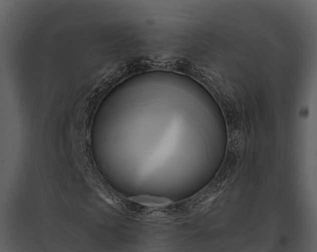X0000095680913200801151122