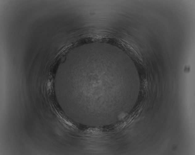 X0000095680914200801151122