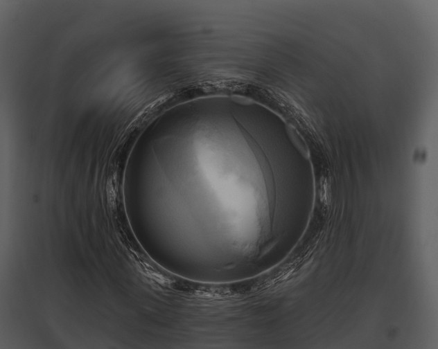X0000095680915200801151122