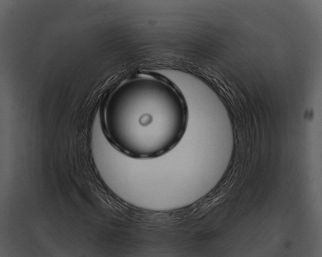 X0000095680916200801151122