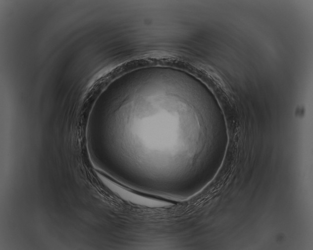 X0000095680920200801151122