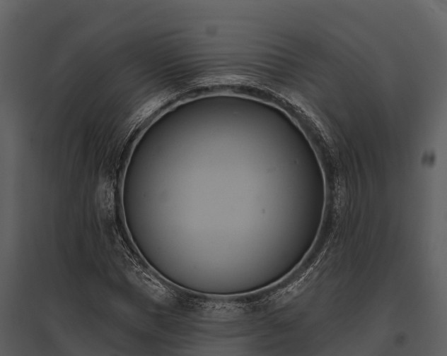 X0000095680921200801151122